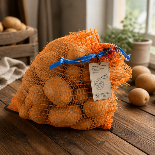 Speisekartoffeln Belana