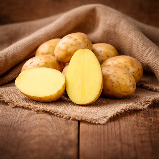 Wega Kartoffeln vom Hof Grefe